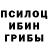 Псилоцибиновые грибы мухоморы Farabi BD