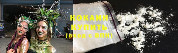 2c-b Дмитриев