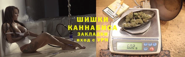 2c-b Дмитриев
