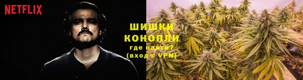 мет Дмитров