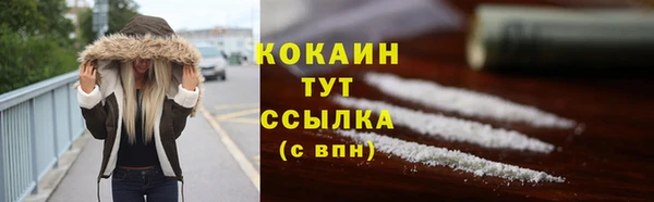2c-b Дмитриев