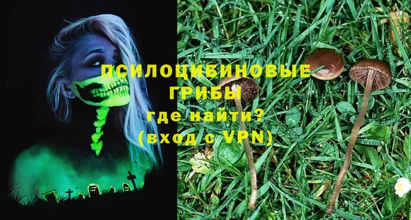 2c-b Дмитриев