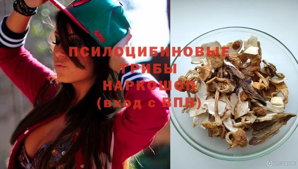 мет Дмитров