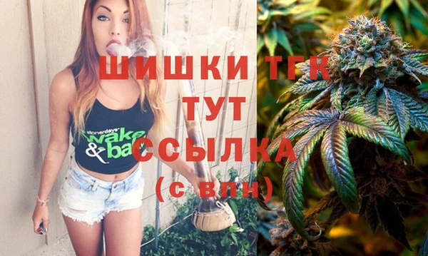 мет Дмитров