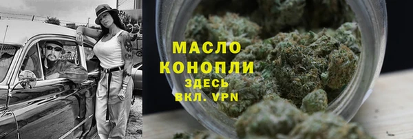 мет Дмитров
